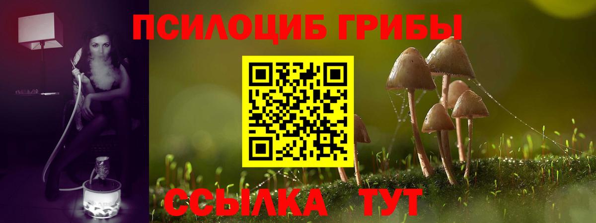 Галлюциногенные грибы MAGIC MUSHROOMS Рыбинск
